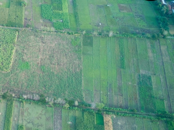 whatsapp image 2025 10 02 at 2.50.36 am (1)