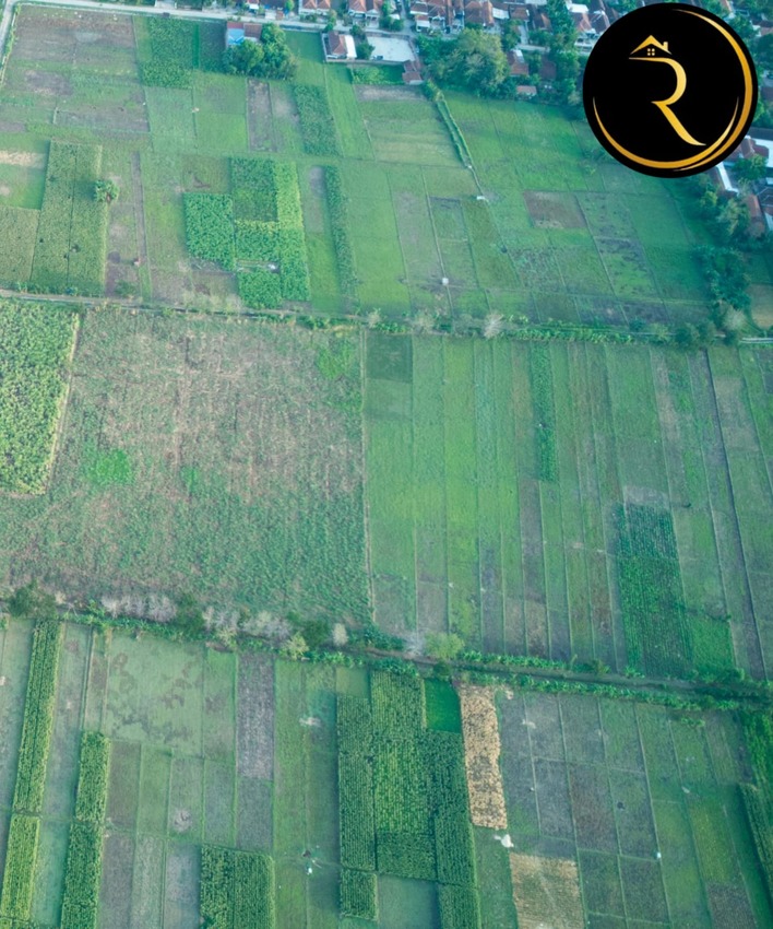 whatsapp image 2025 10 02 at 2.50.36 am (1)