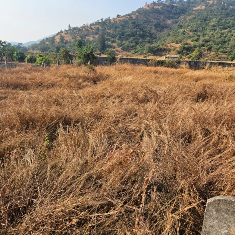 whatsapp image 2025 10 02 at 3.14.39 am