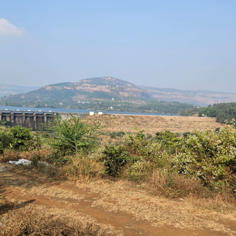 whatsapp image 2025 10 02 at 3.14.42 am